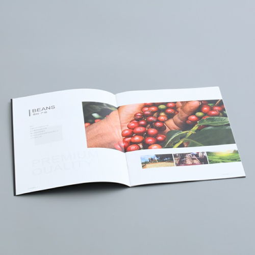 彩源印刷 值得信賴 圖 產品畫冊印刷公司 東莞產品畫冊印刷