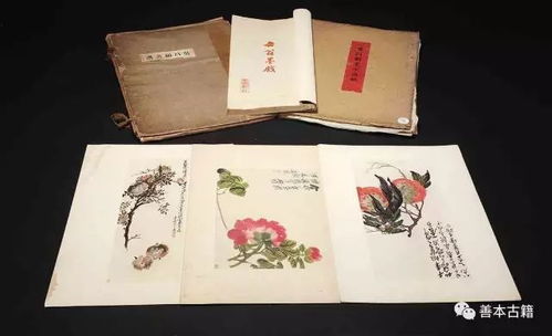 厲害了 珂羅版項目落地晉中